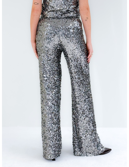 Grey Pants in Sequins