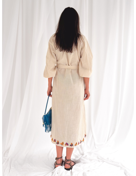Maxi embroidered ethnic dress