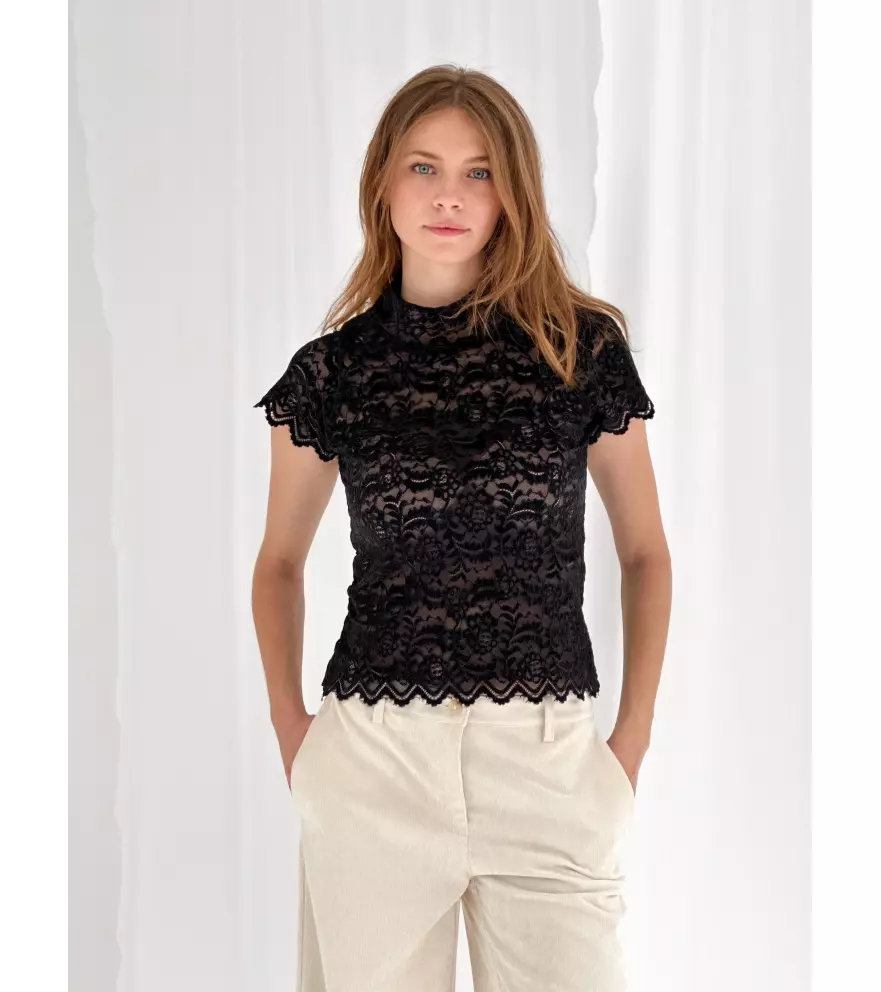 Half-sleeved velvet embroidered lace top