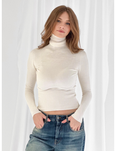 Ribbed Turtleneck